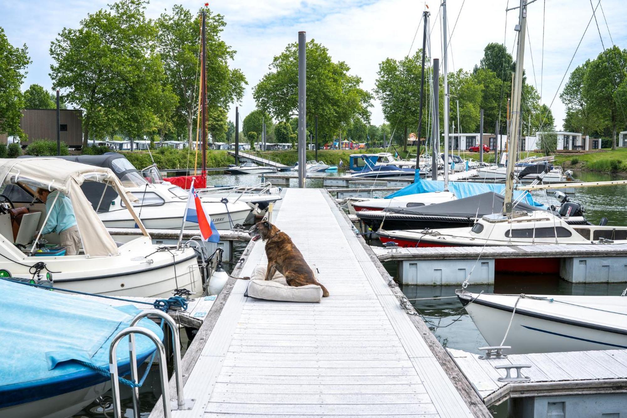 ホテル Marinapark Bad Nederrijn Maurik エクステリア 写真
